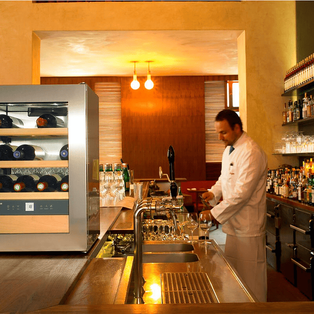 Vinoteca Liebherr WKes 653 001 26