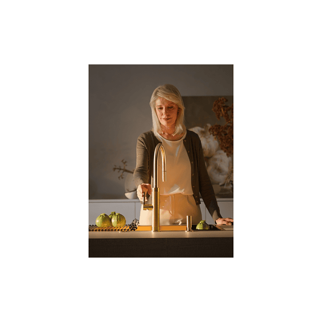 Mist. Franke Mythos Masterpiece J Gold