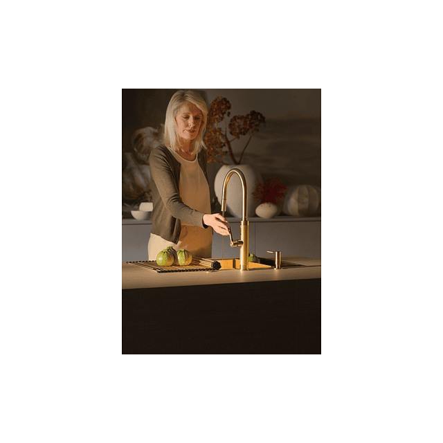 Mist. Franke Mythos Masterpiece J Gold