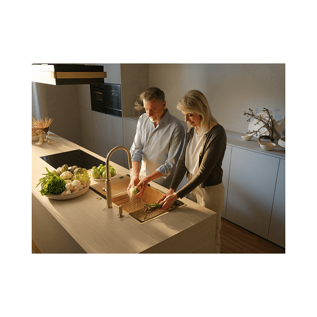 Mist. Franke Mythos Masterpiece J Gold