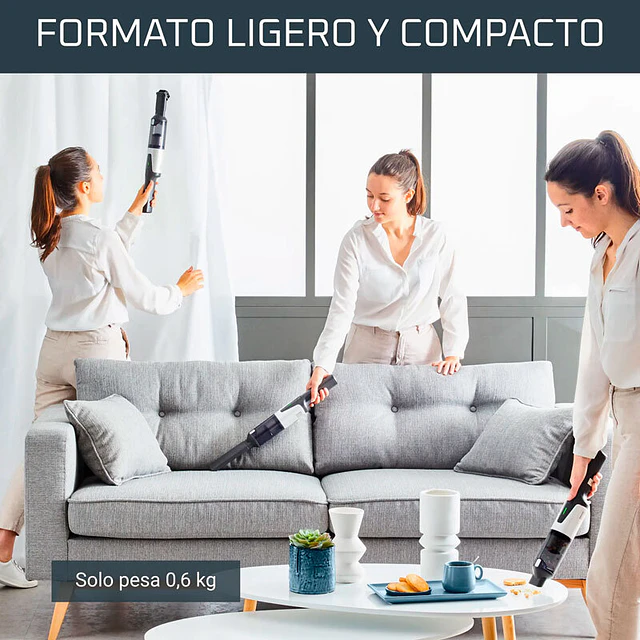 Aspirador de mão Rowenta AC9736WO