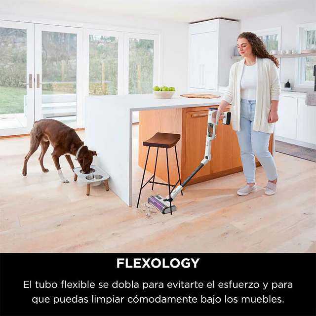 Aspirador Vertical Shark IW3612EU