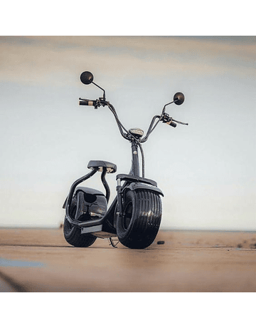 Scooter Citybike Moto Electrica Citycoco Mov-e "Electra" - 1500w