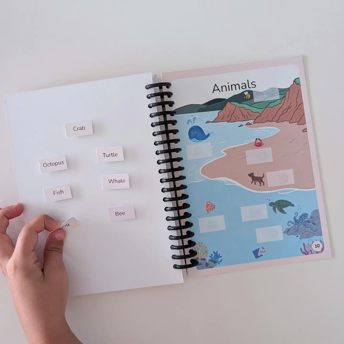Livro Interativo de Inglês (Interactive English Book) 6