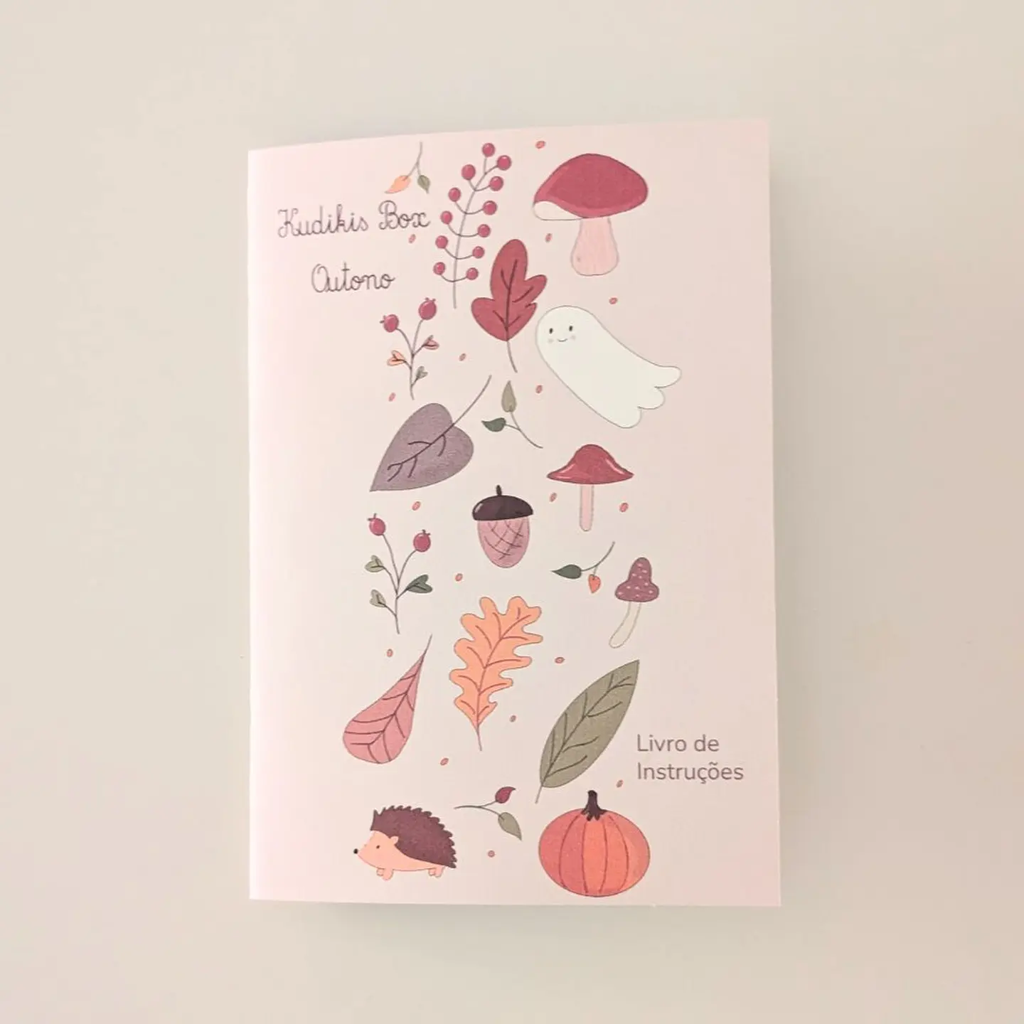 Kudikis Box - Pack Anual (4 Boxes de Estação) 9