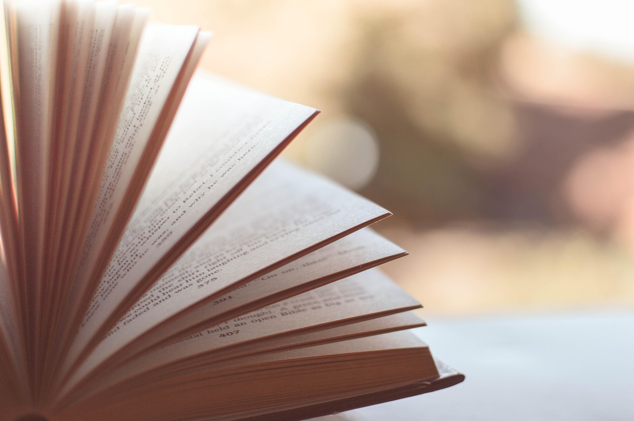 Aprender a Ler: Os Diferentes Métodos e Como Apoiar as Crianças Neste Percurso