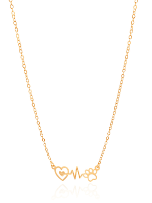 COLAR BATIMENTOS PET