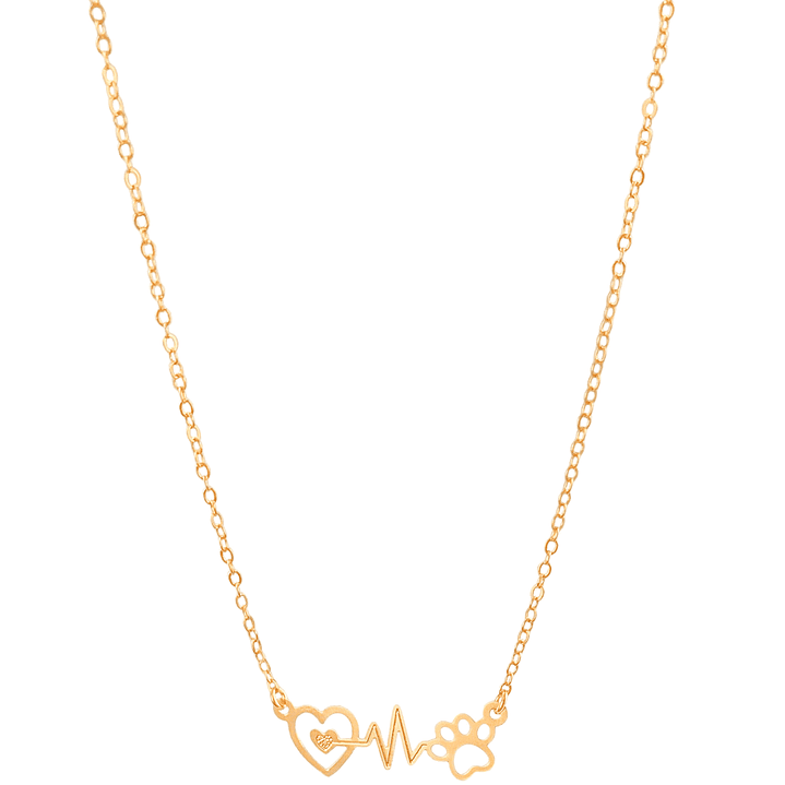 COLAR BATIMENTOS PET 1