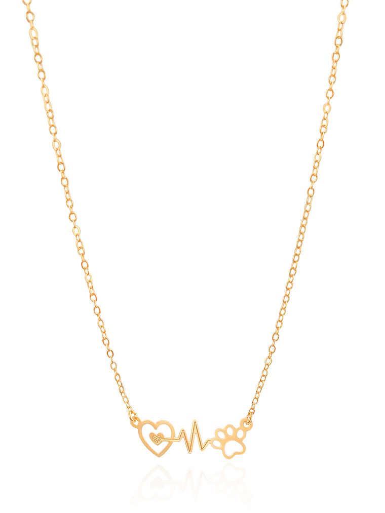 COLAR BATIMENTOS PET 1