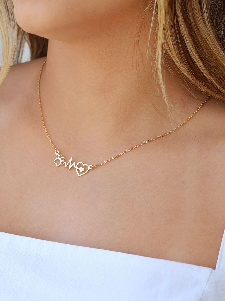 COLAR BATIMENTOS PET 2