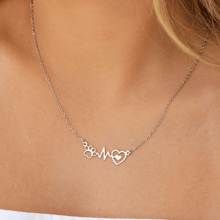 COLAR BATIMENTOS PET 4