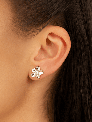 BRINCO FLOR PONTO DE LUZ