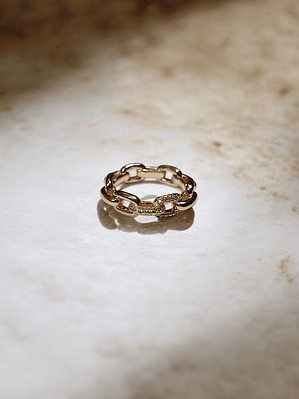 ANEL 2 ELOS CRAVEJADOS