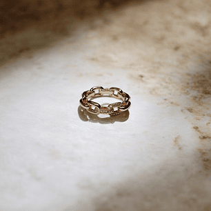 ANEL 2 ELOS CRAVEJADOS