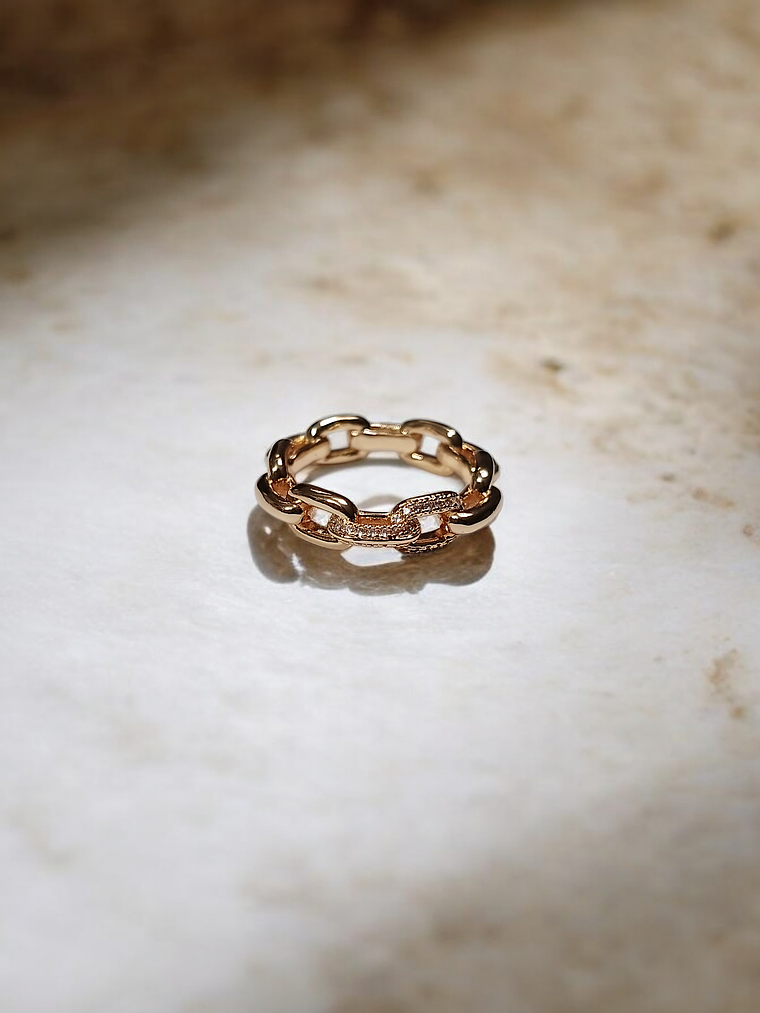 ANEL 2 ELOS CRAVEJADOS 1