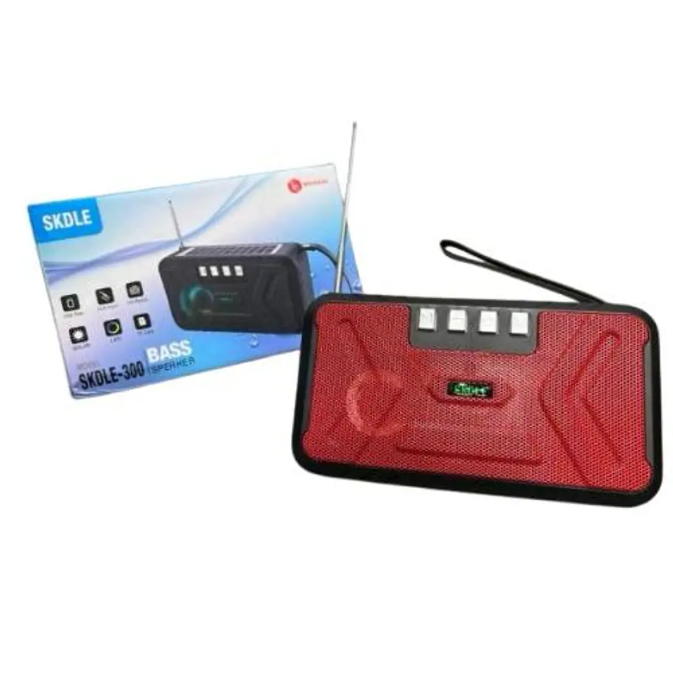 Parlante Bluetooth SKDLE-300 1
