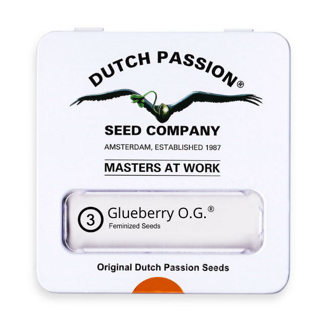 Glueberrry OG x3