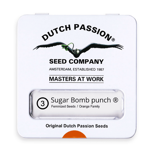 Sugar Bomb Punch x3