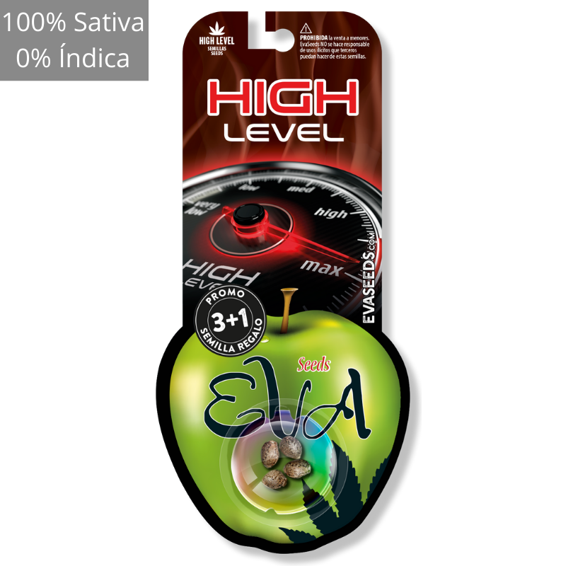 High level 3+1