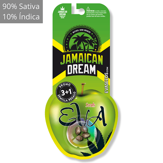 Jamaican dream 3+1