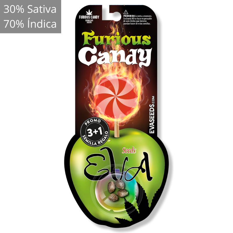 Furious candy 3+1