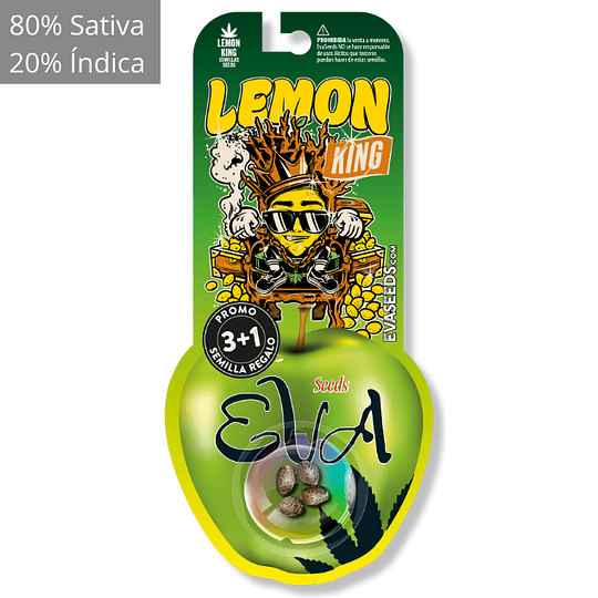 Lemon king 3+1