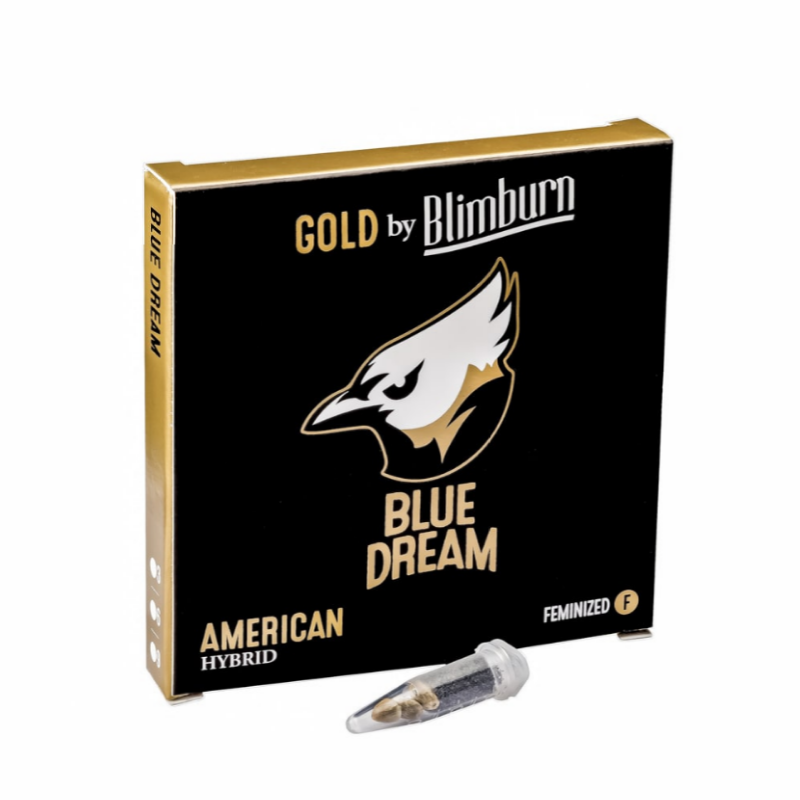 Blue dream x3