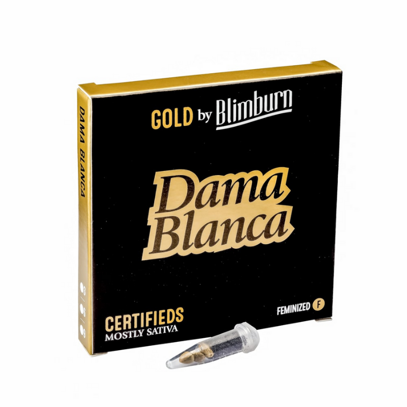 Dama blanca x3