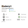 Blueberry x3