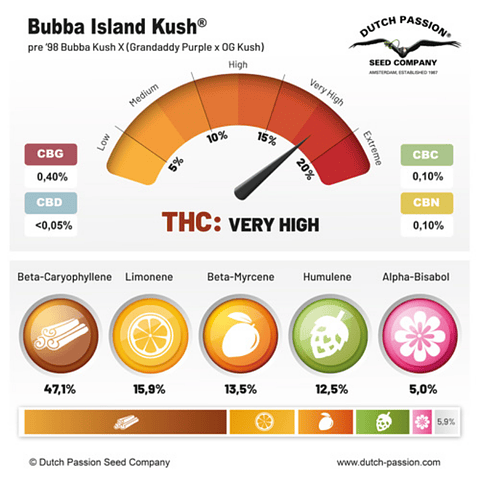 Bubba Island Kush x3 