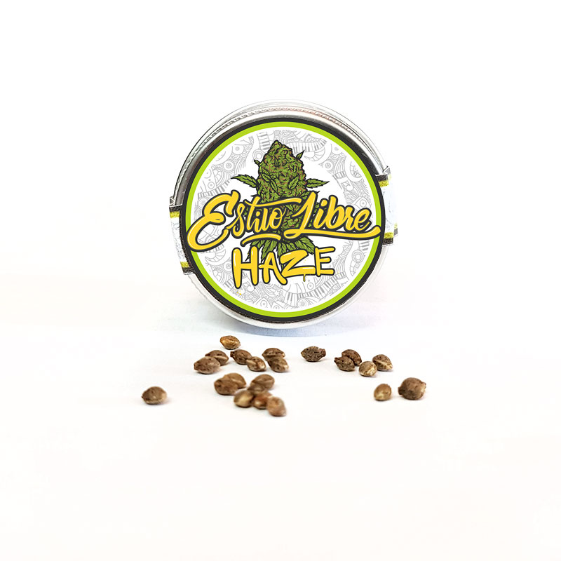 Estilo Libre Haze