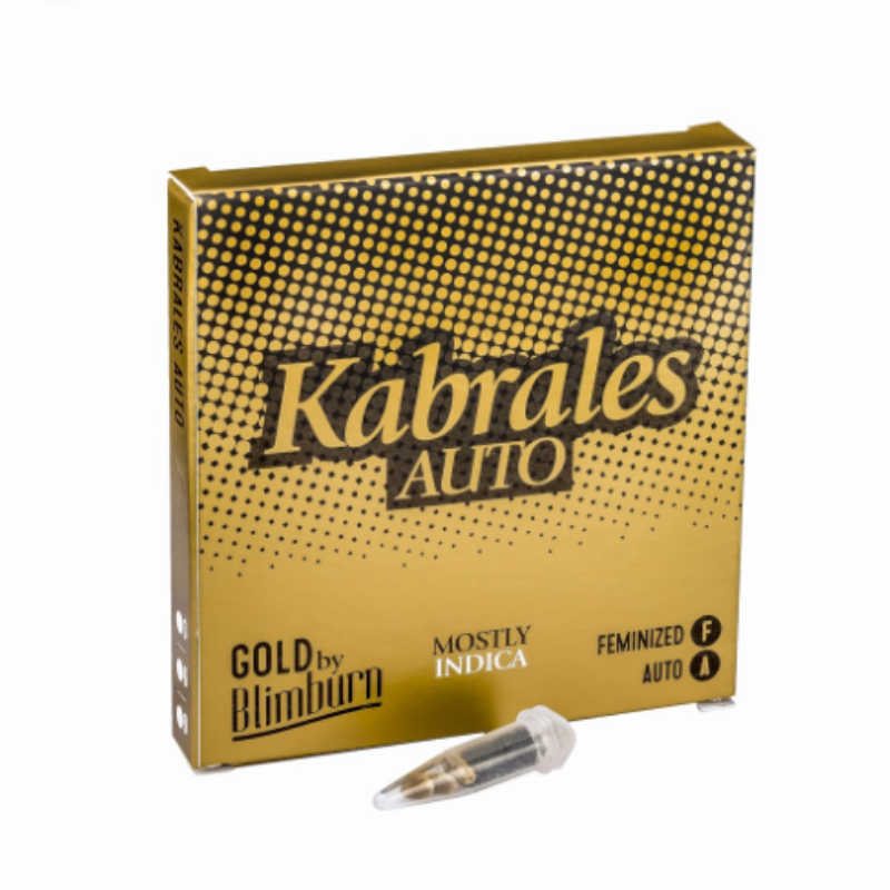 Auto Kabrales x3