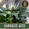 Auto Kabrales x3 