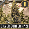 Silver Surfer Haze x3