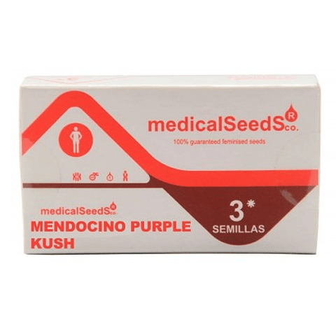Mendocino Purple Kush x3