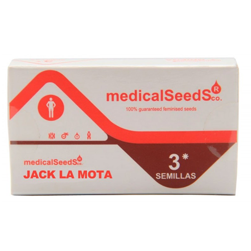 Jack La Mota x3