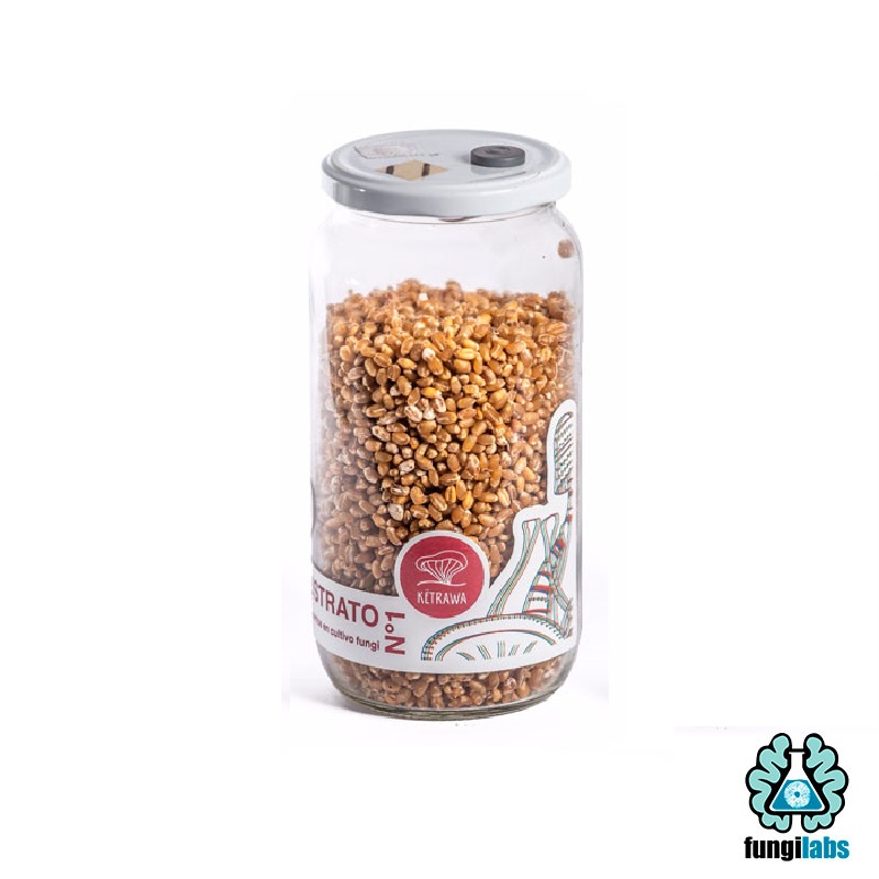 Mushjar 750cc grano estéril