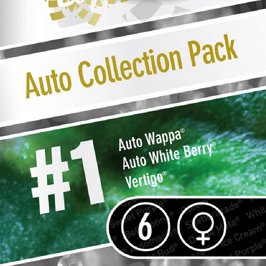 Auto Collection Pack #1