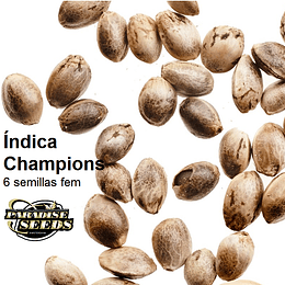 Pack Índica Champions