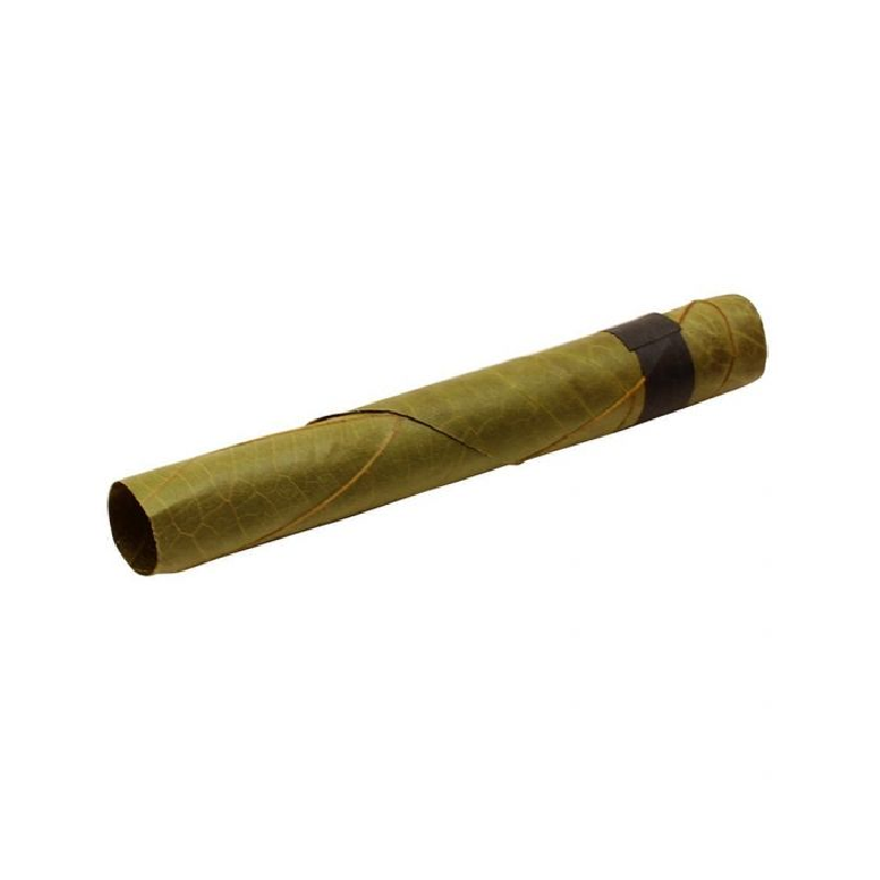 Cono Slim KingPalm
