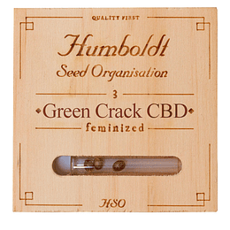 Green crack CBD x3