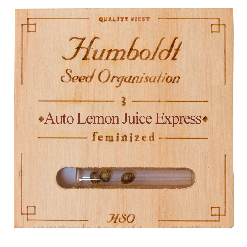Auto Lemon juice express x5