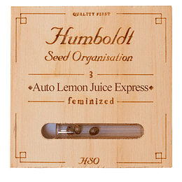 Auto Lemon juice express x5