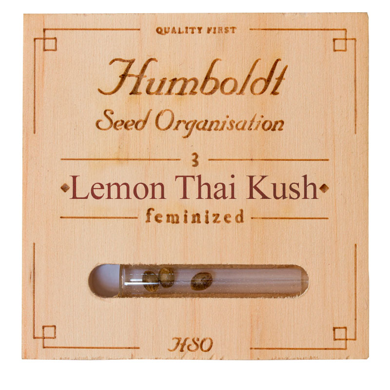 Lemon thai kush x3