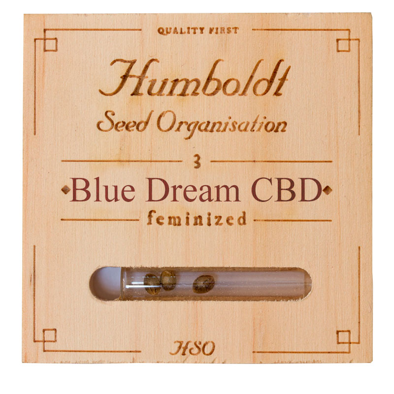 Blue dream CBD x3