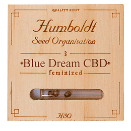 Blue dream CBD x3