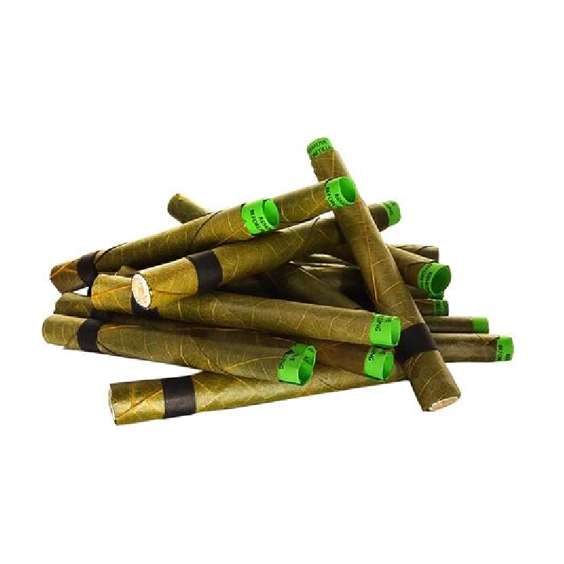Conos King x10 KingPalm