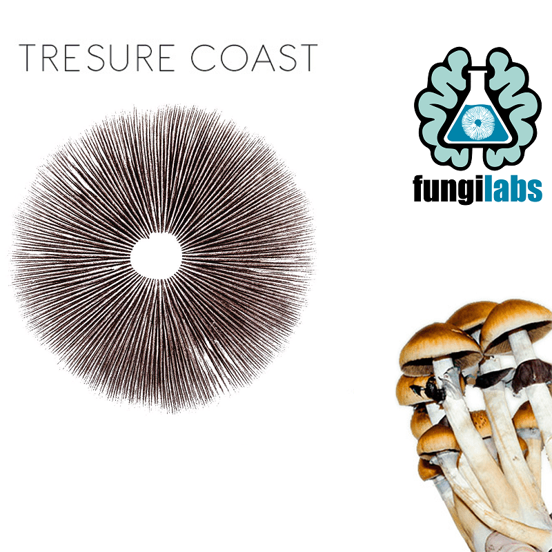 Treasure Coast Espora