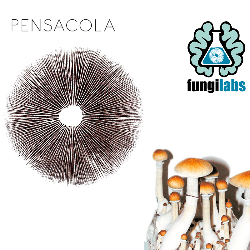 Pensacola Espora
