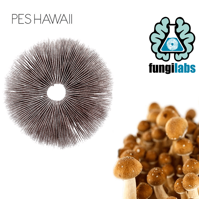 PES Hawaii Espora